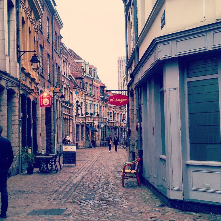 Lille Centre Ville, Beaux Arts Et Grand Palais, Bienvenue Chez Nestyou 릴 외부 사진