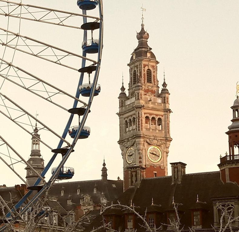 Lille Centre Ville, Beaux Arts Et Grand Palais, Bienvenue Chez Nestyou 릴 외부 사진
