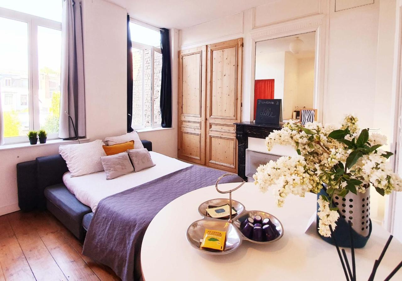 Lille Centre Ville, Beaux Arts Et Grand Palais, Bienvenue Chez Nestyou 릴 외부 사진
